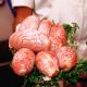 Bulls Testicles Take You To Love!